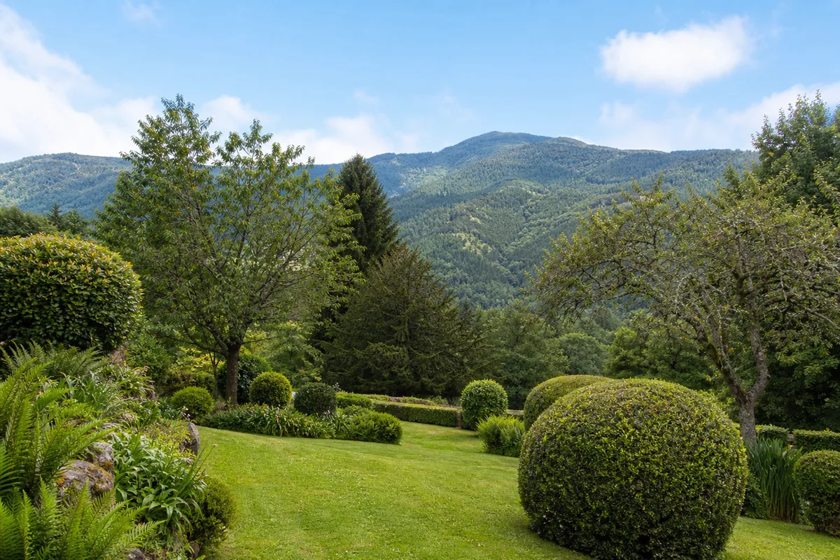 Entretien de jardin dans les Vosges : contrats et tonte régulière