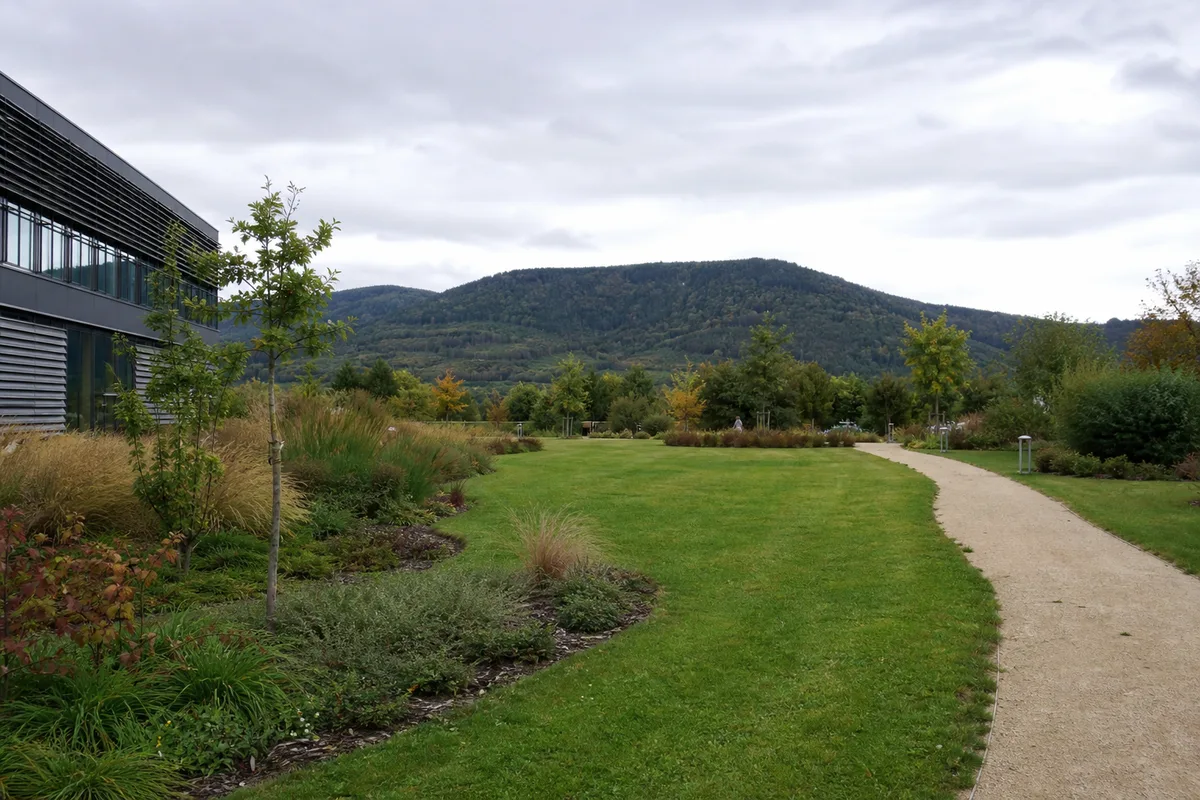 Création d'espaces verts pour collectivités et entreprises